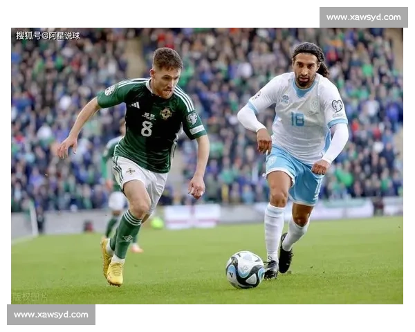 爱尔兰对阵芬兰谁赢了成焦点赛果揭晓引热议背后原因解析全面盘点